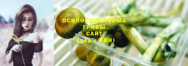 spice Алексеевка