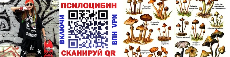 Псилоцибиновые грибы Psilocybe  OMG рабочий сайт  Черноголовка  дарнет шоп 