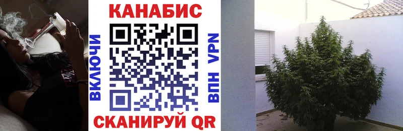 Шишки марихуана THC 21% даркнет официальный сайт Черноголовка